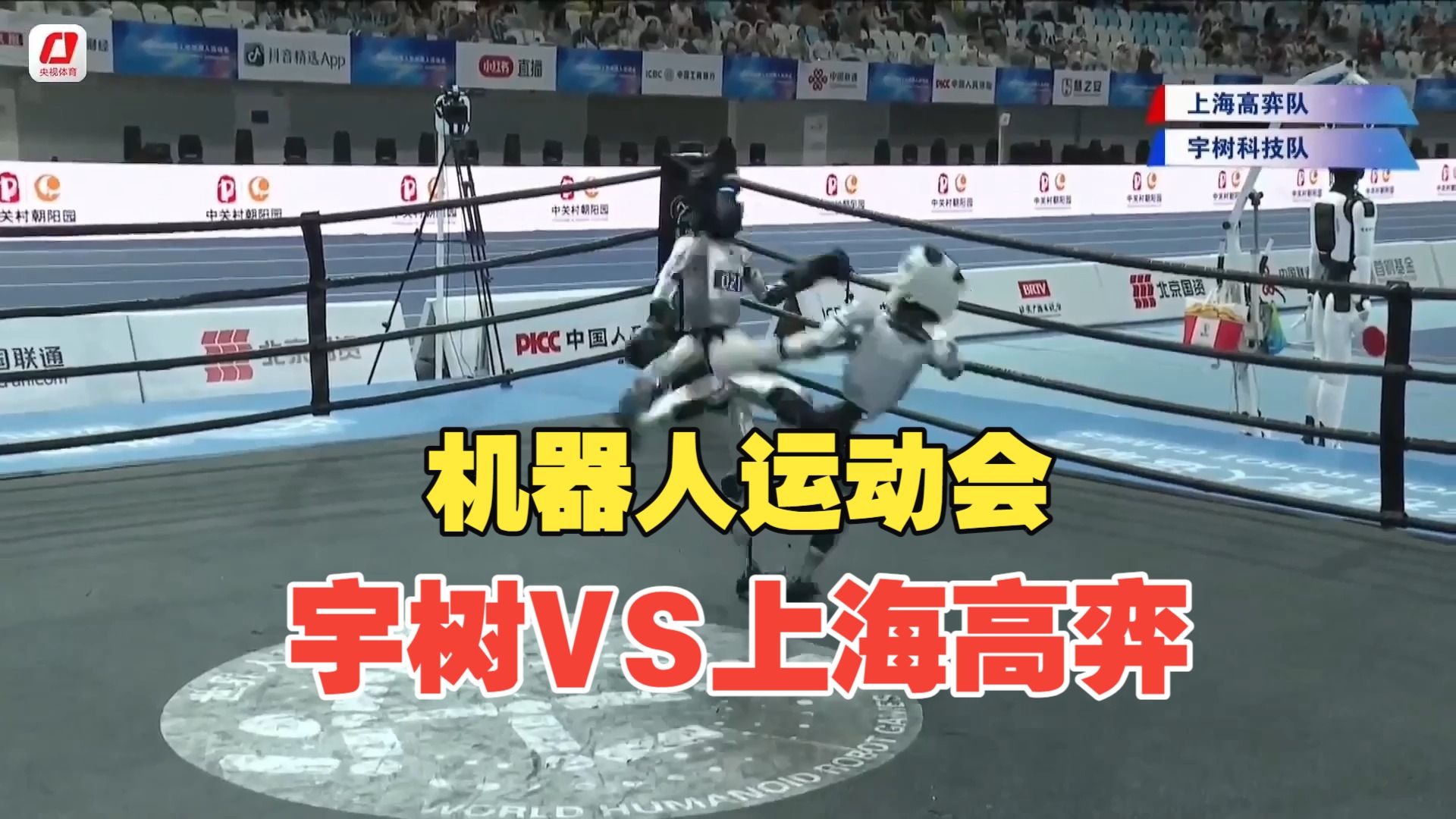 Robot kickboxing match at the World Humanoid Robot Games